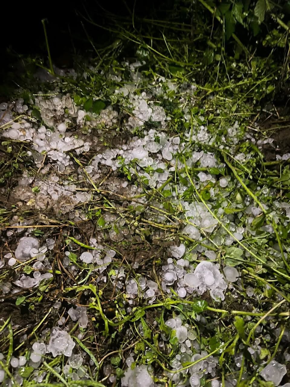 651296935_1319962050160940_5420263718016252114_n